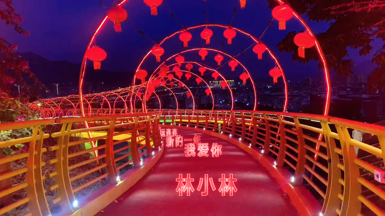 135小灯笼霓虹桥