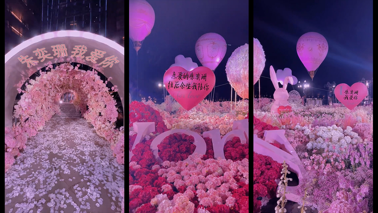 195花海表白现场第2版