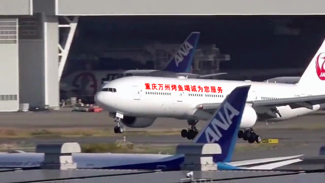 202飞机降落机身文字广告